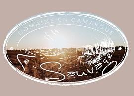 le-sauvage-domaine-en-camargue-seminaires-de-caractere