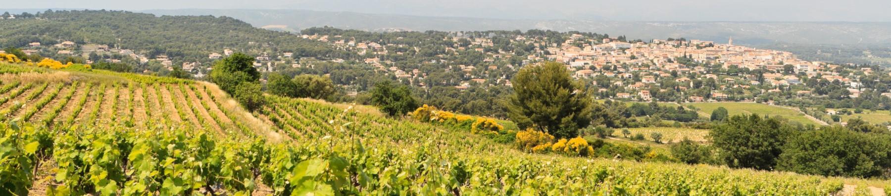 maison-berard-bandol-seminaires-de-caractere