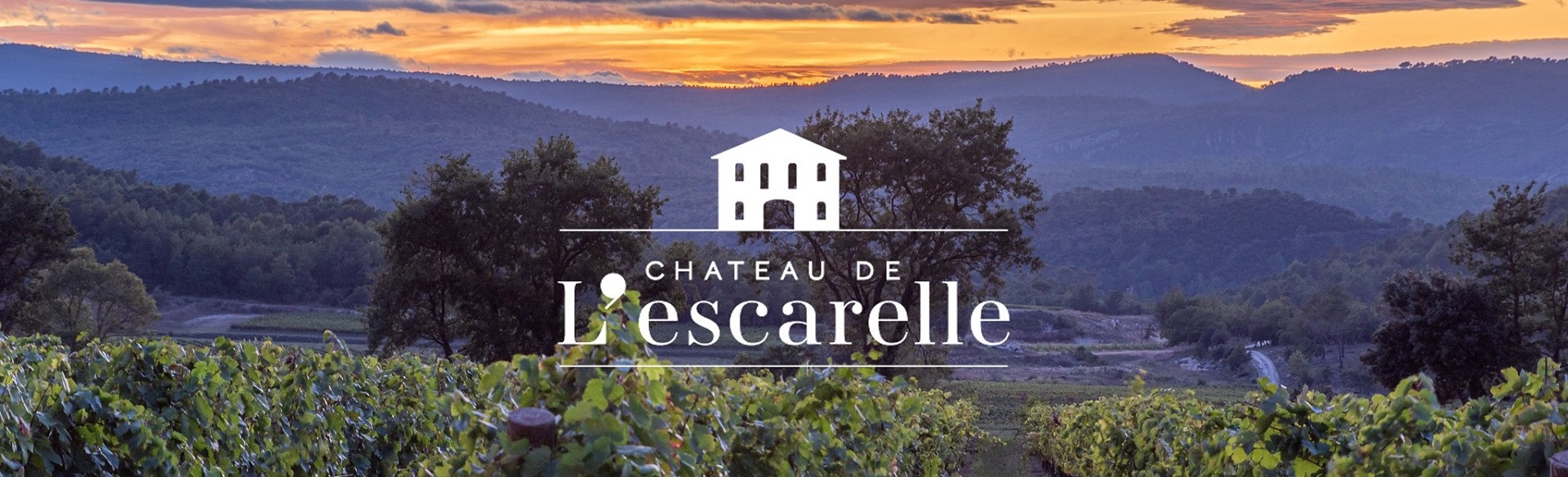 chateau-lescarelle-var-provence-Seminaires-de-Caractere